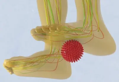 Neuro-Balance Therapy program